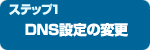 DNS������ѹ�