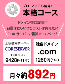 �ץ����ޥ˥���Ǽ�����ܳʥ�����