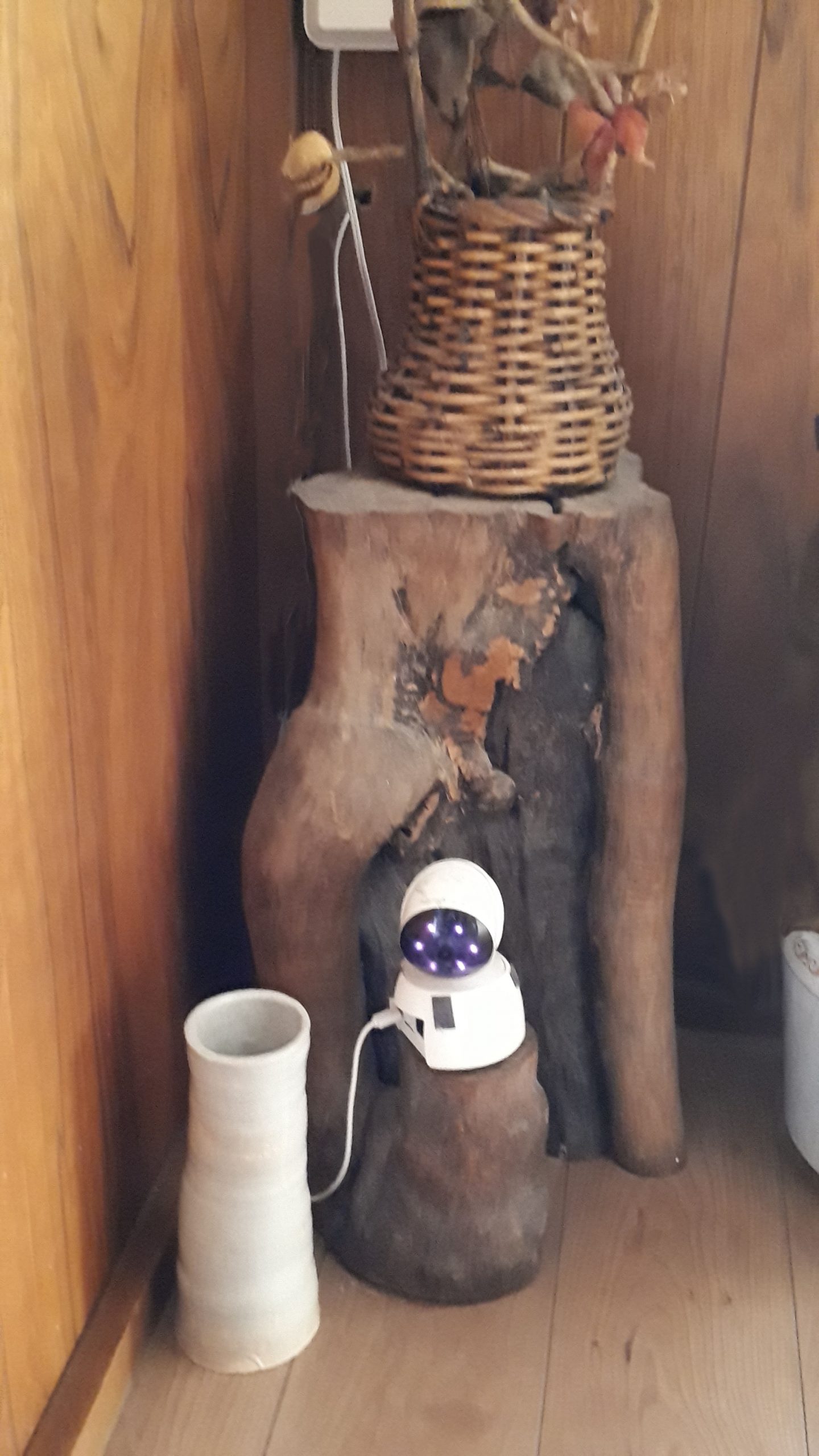 見守りカメラの写真