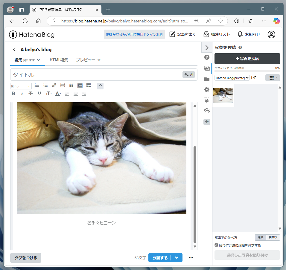 ブログ記事作成画面の写真貼り付け手順