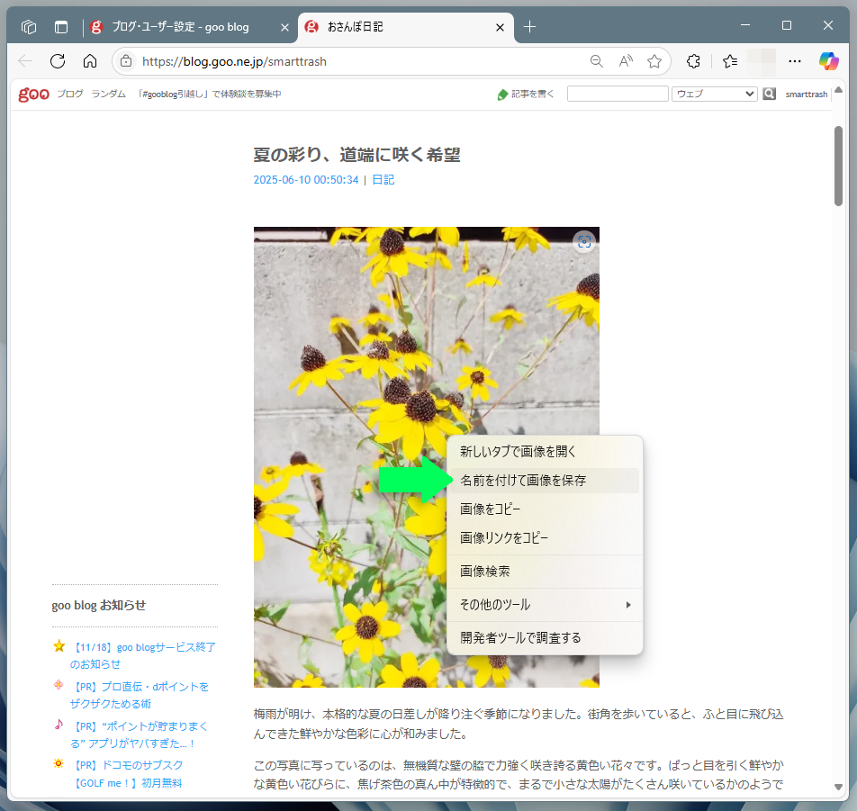 マウスの右クリックで画像を保存