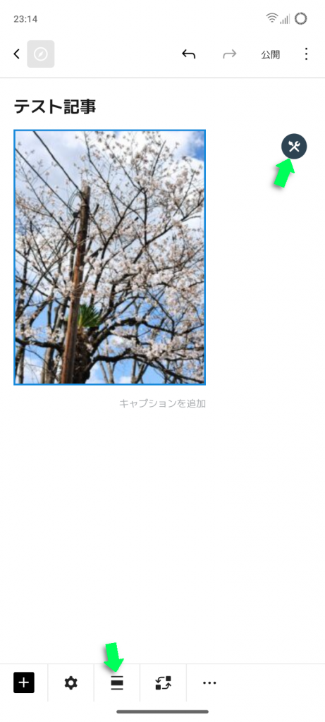 写真がブロックエディターに貼り付けられる