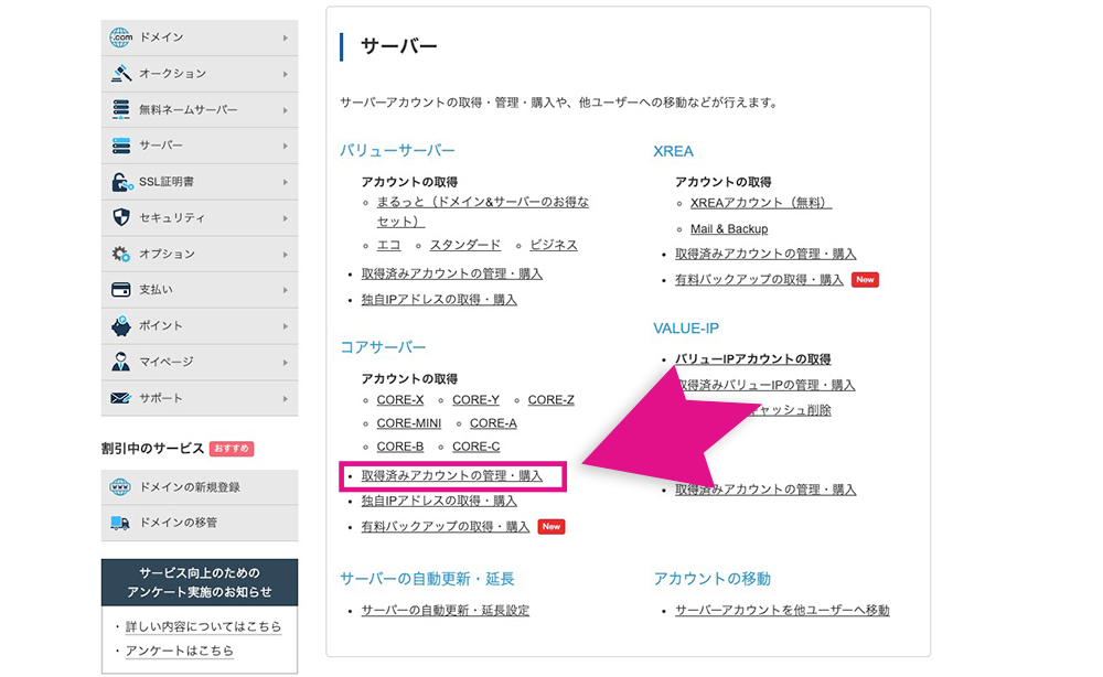 バリュードメインの取得済みアカウントの管理・購入