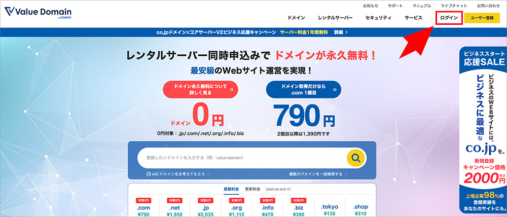 バリュードメインの公式サイト画面