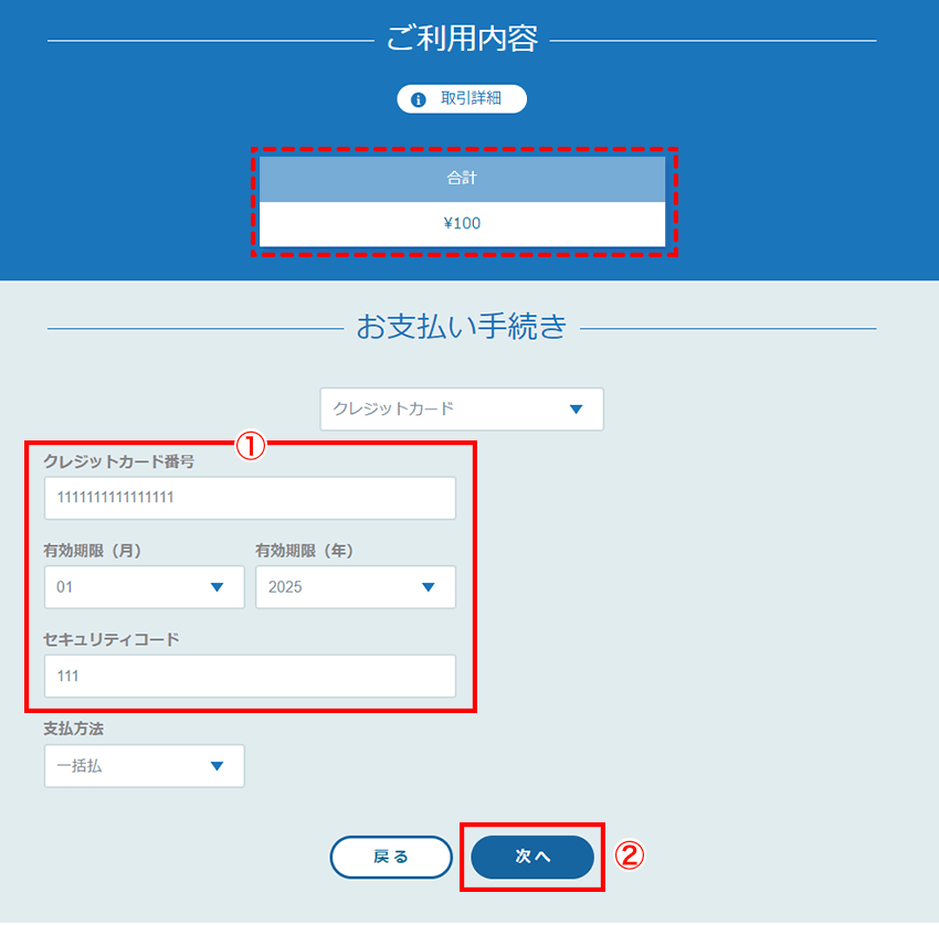 クレジットカード手動決済 | バリュードメイン ユーザーガイド